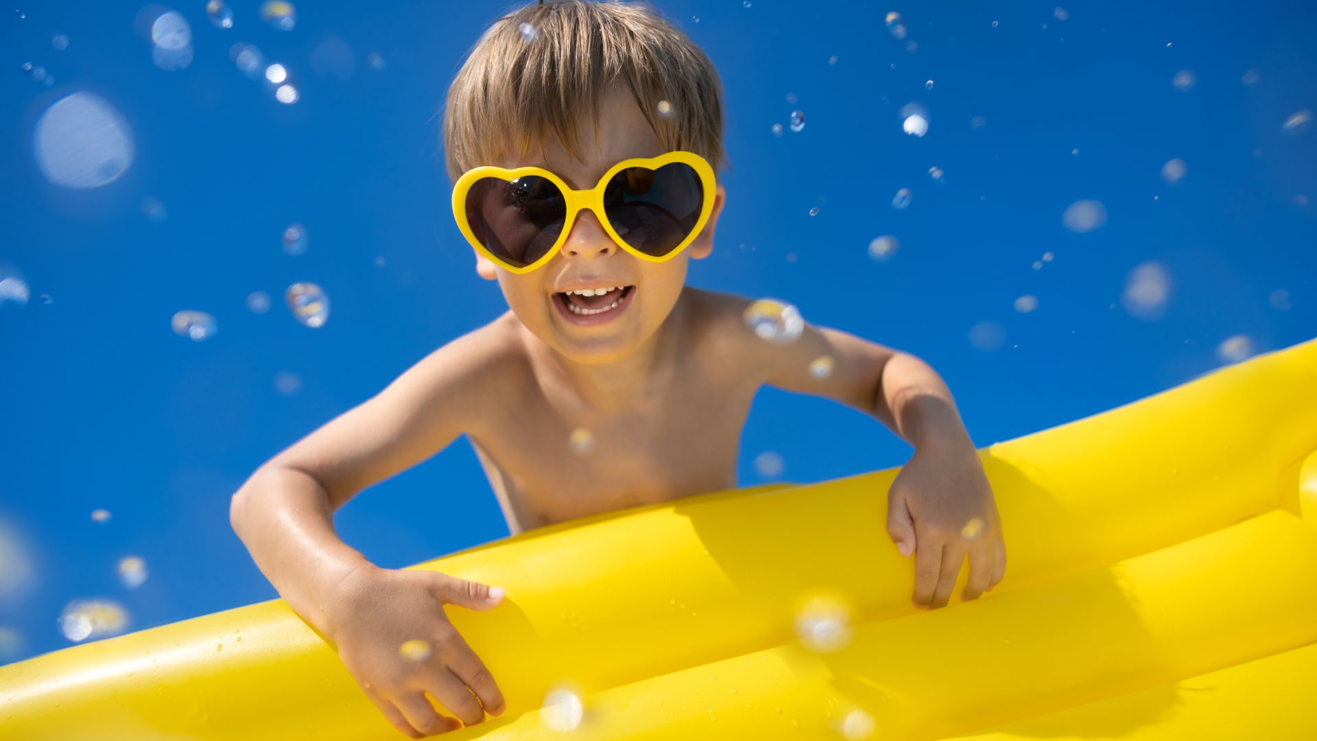 Immagine in primo piano allegata alla pagina