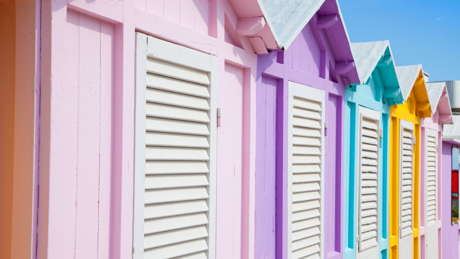 Immagine in primo piano allegata alla pagina