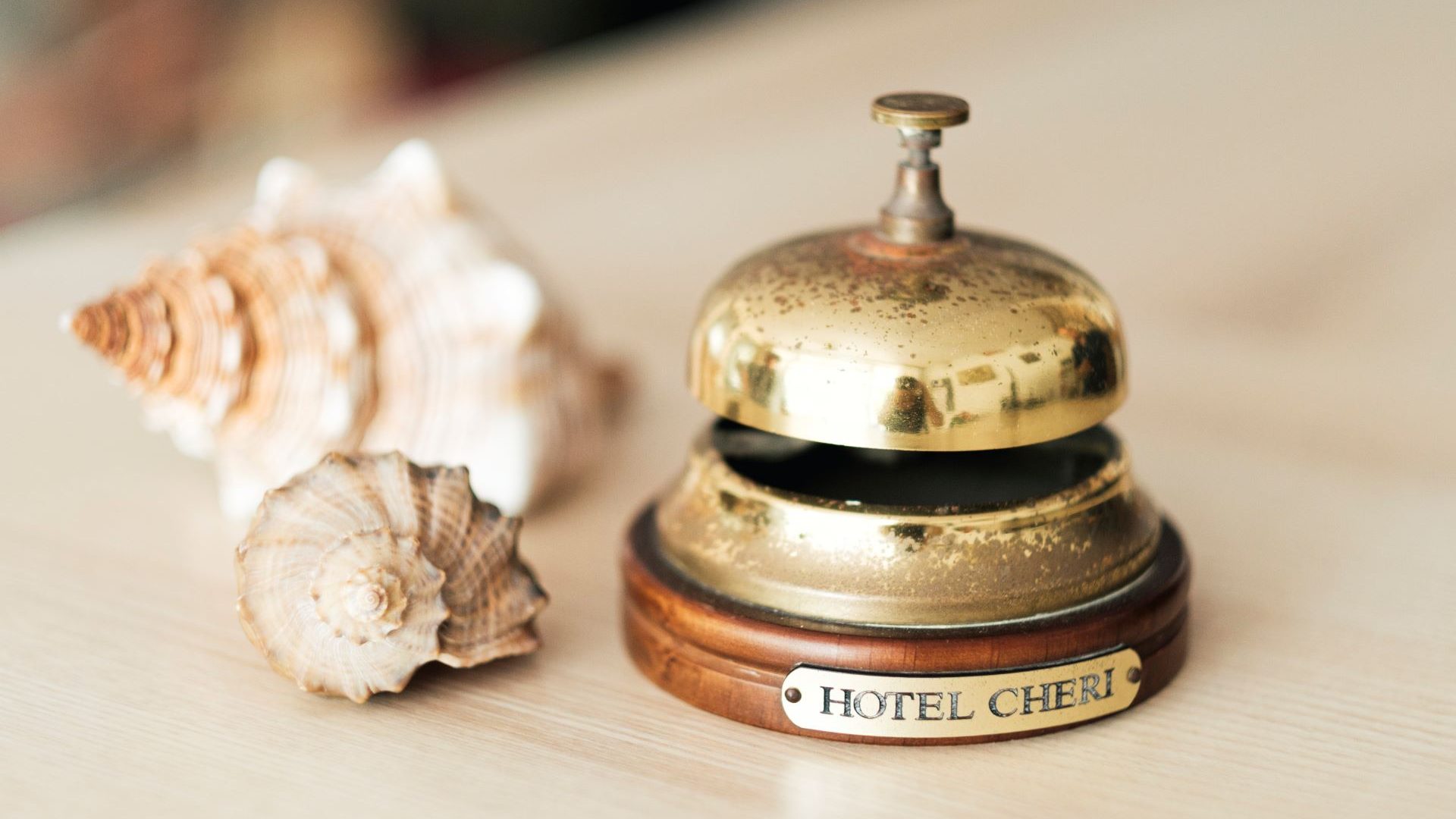 Immagine in primo piano allegata alla pagina