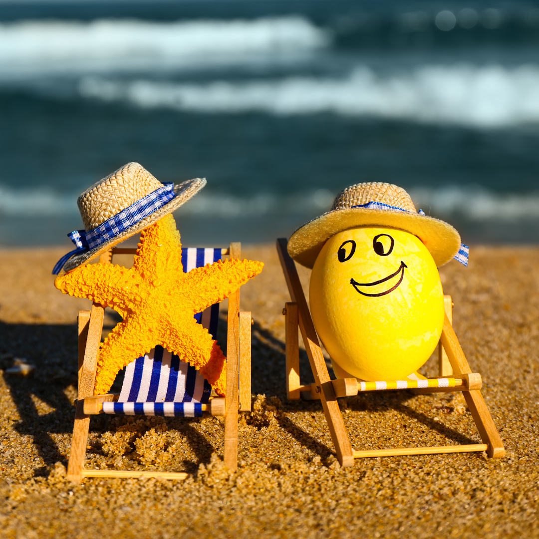 Immagine in primo piano allegata alla pagina