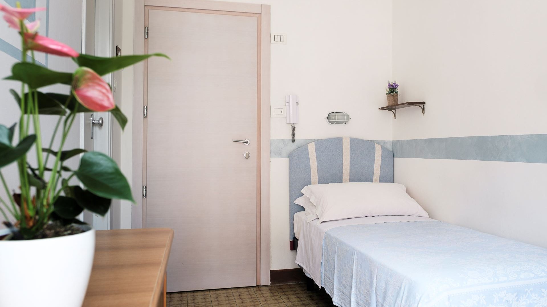 Immagine in primo piano allegata alla pagina