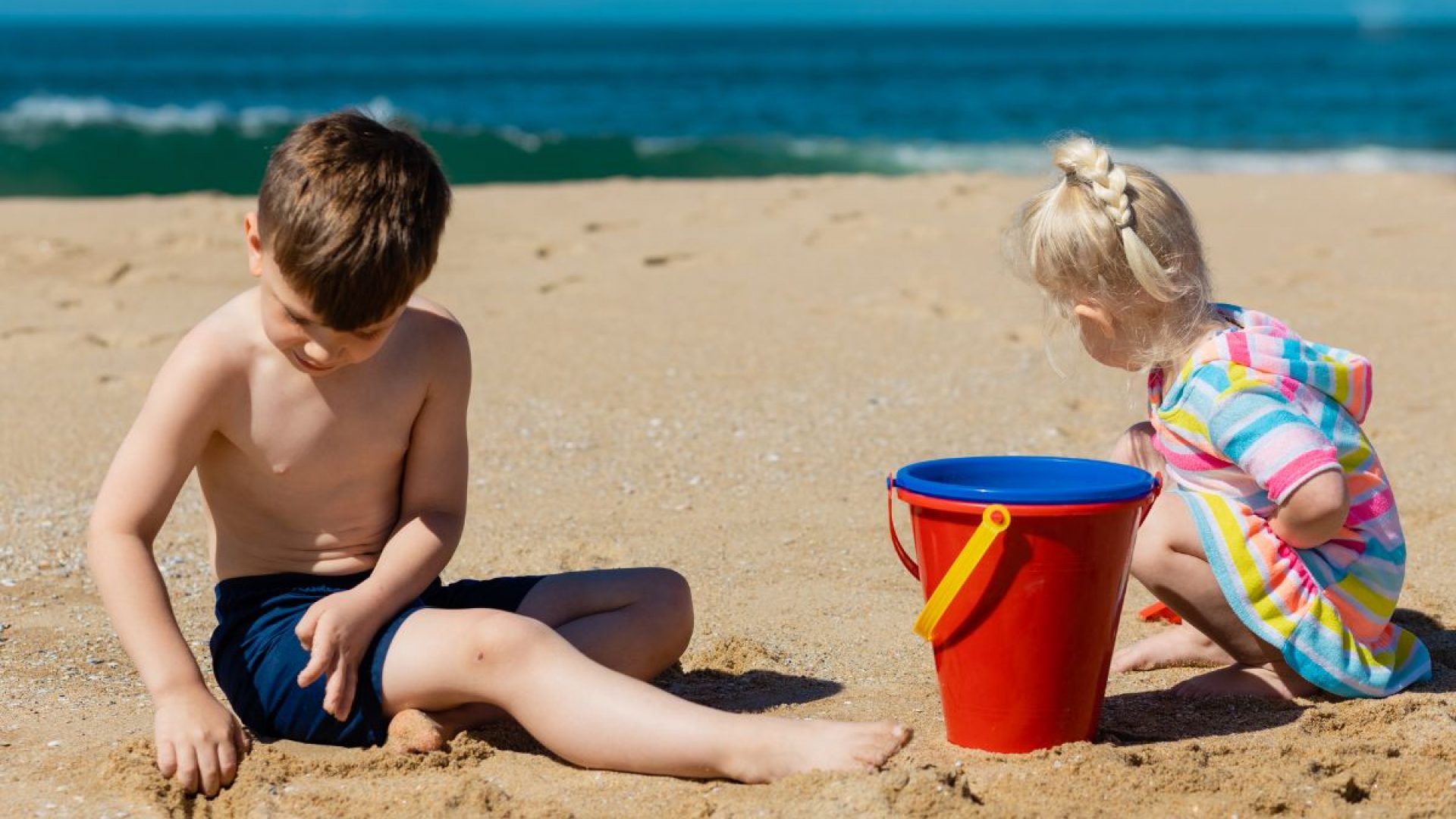 Immagine in primo piano allegata alla pagina