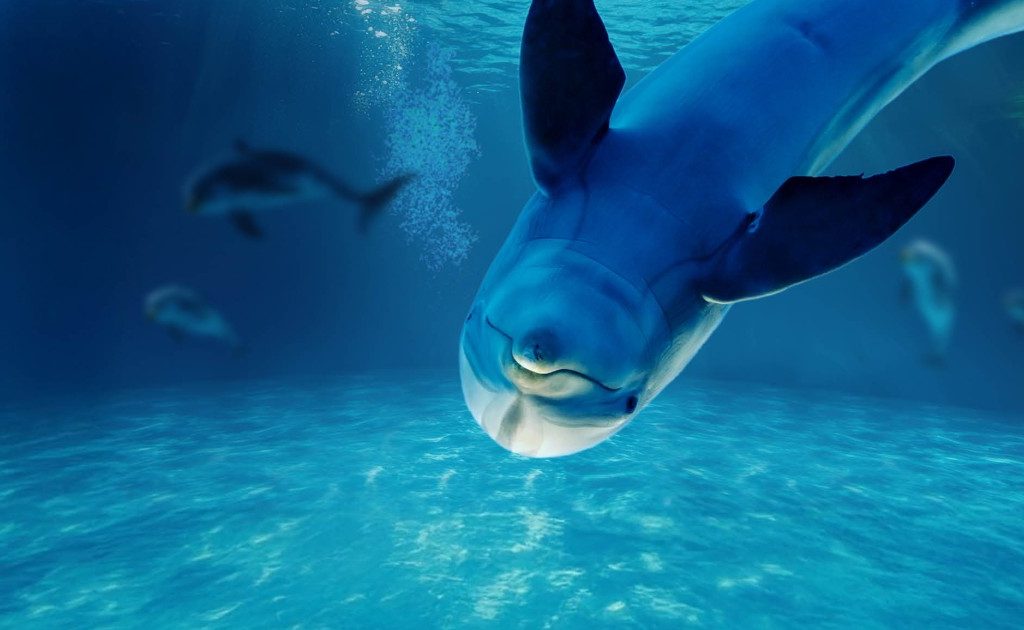 Immagine - "Oltremare"