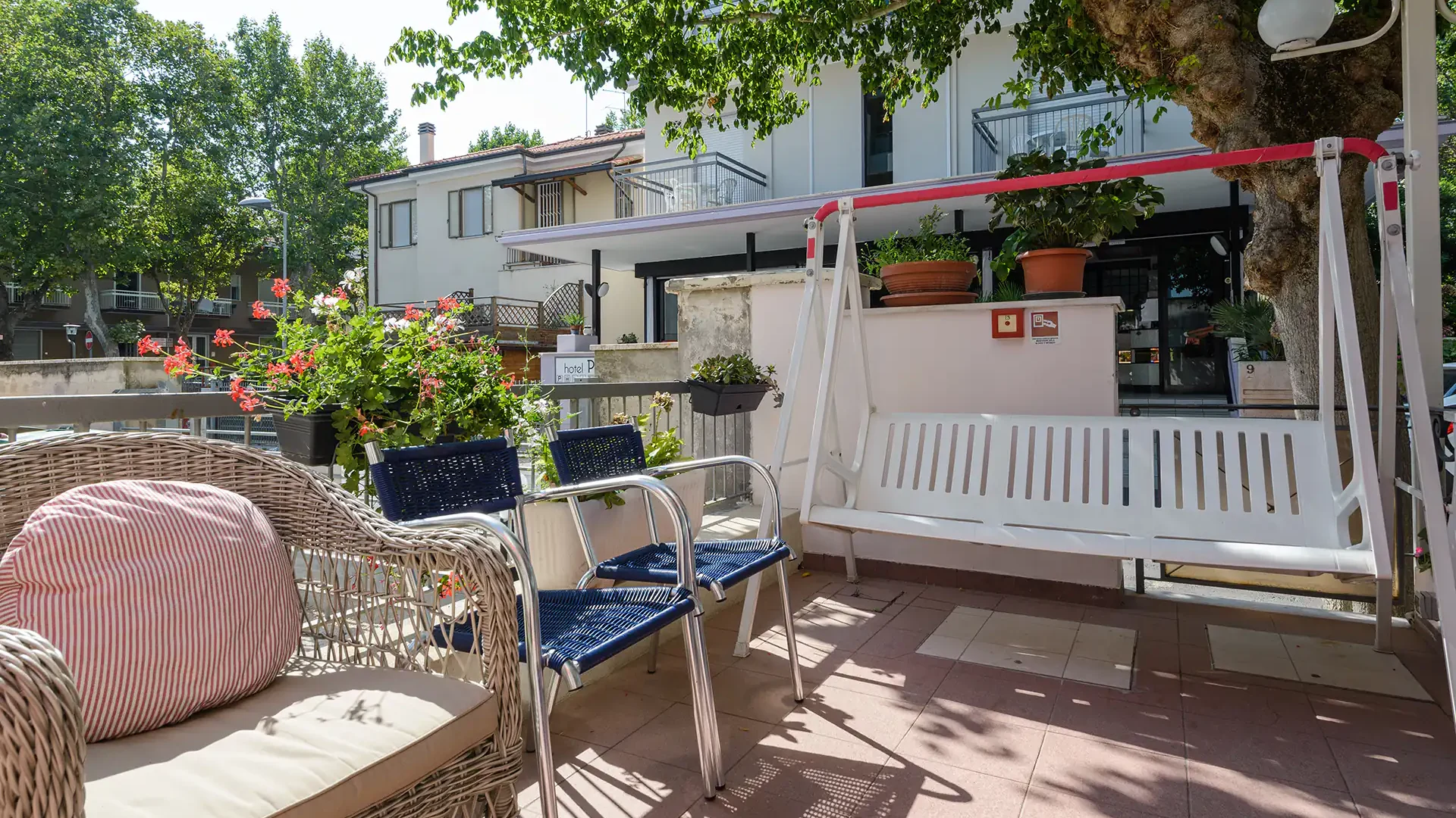 Immagine in primo piano allegata alla pagina