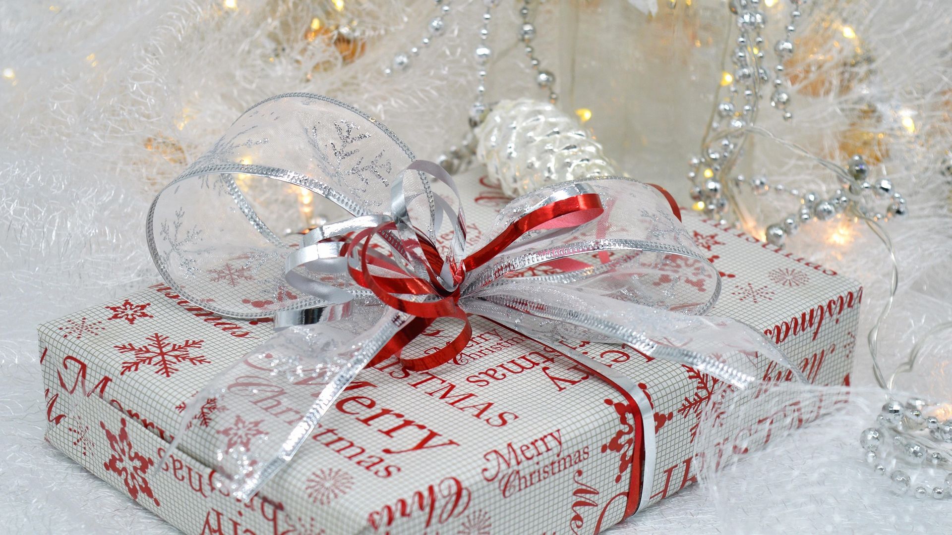 Immagine in primo piano allegata alla pagina